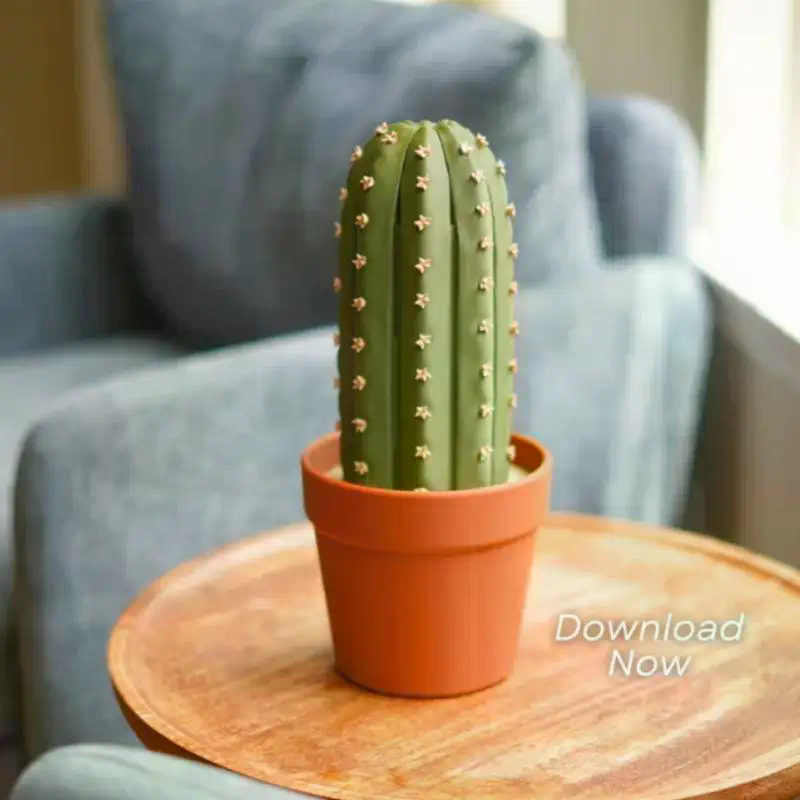 3D Printed Resin Cactus Roll C – 3D Printing Chess recenzja i cena